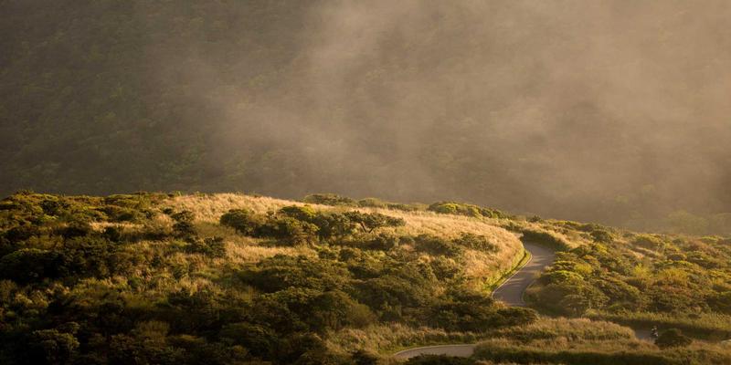 全屋定制家具板材怎么选?深度解析实木颗粒板与多层实木板的优缺点