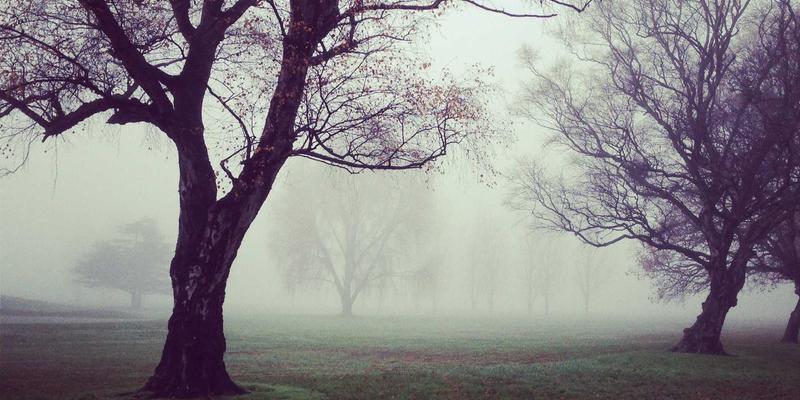 全屋定制板材终极指南:实木颗粒板、多层板、生态板如何选?孟菲斯风格装修的灯具搭配秘诀
