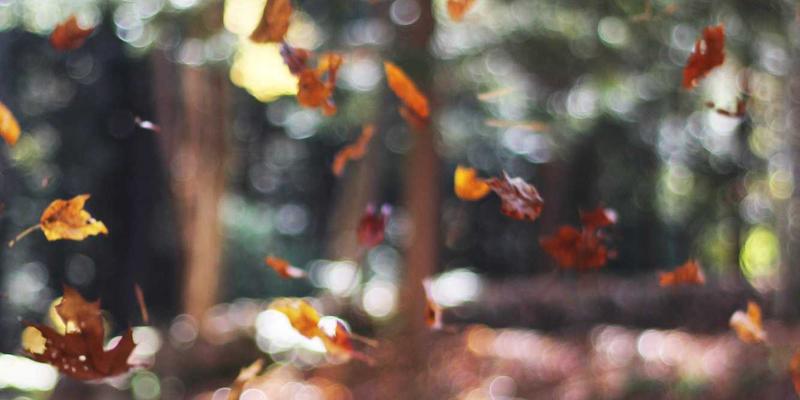 厨卫防水建材全攻略:从孟菲斯风格墙面到瓷砖胶的深度解析