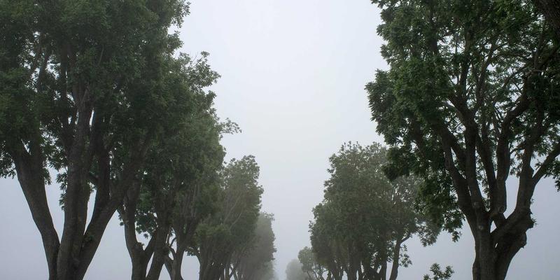 告别噪音困扰！2024年新型隔音建材深度测评，打造静享家居的终极方案