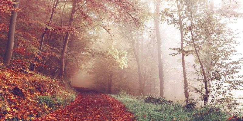 告别影院杂音!揭秘影音室声学装修核心:吸音与扩散材料全解析