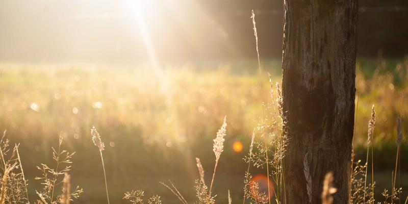 旧房改造新思维：拆改不是丢弃，而是设计的起点——科学评估与环保拆除全攻略