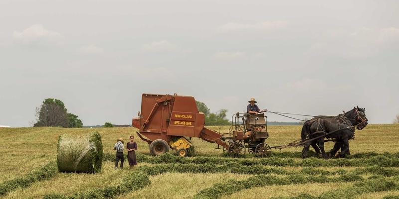 软装三大隐形硬核：窗帘遮光布、地毯底背、填充海绵选购避坑全攻略
