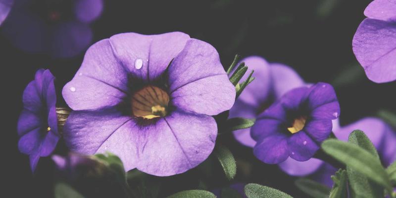 阳台封装三大主流材料终极对决：断桥铝、塑钢、系统窗，选对省心十年！